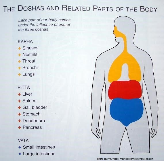 Pricking pain in lower left abdomen, what could be the reason? Quora