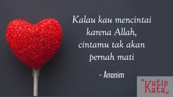 Apakah yang dimaksud cinta yang tulus adalah cinta yang tidak perlu  diberikan balasan? - Quora