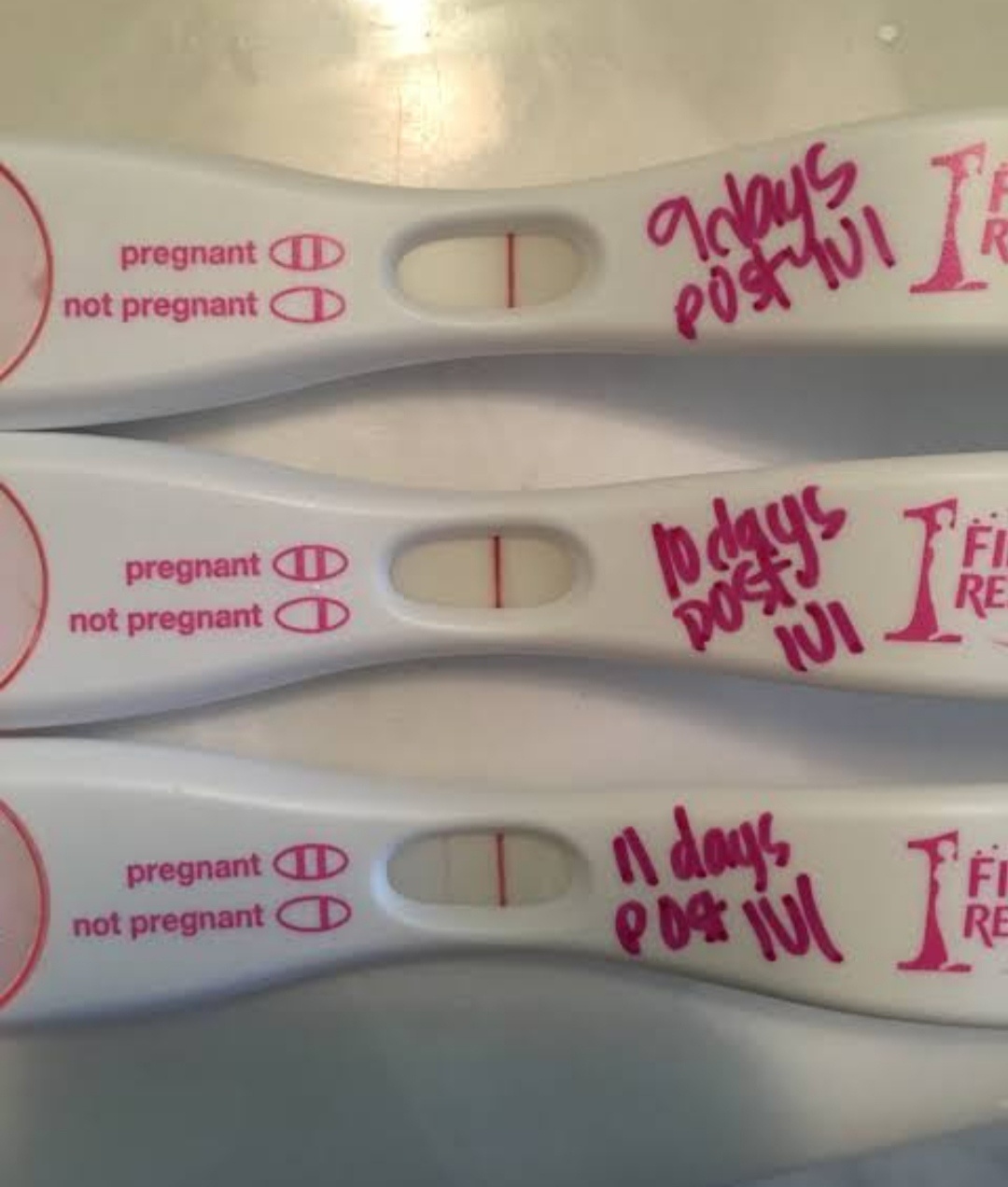 Insemination Pregnant Before After Telegraph