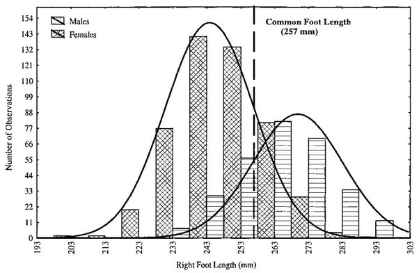 What is the distribution of men's shoe sizes? Quora