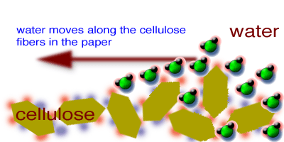 Mengapa tissue bisa menyerap air lebih cepat dibandingkan dengan kertas? -  Quora