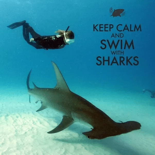 Why don't heavy fishes like whale and shark collapse and drown because