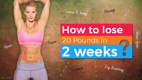 What is the lifestyle required to get rid of belly fat? Quora