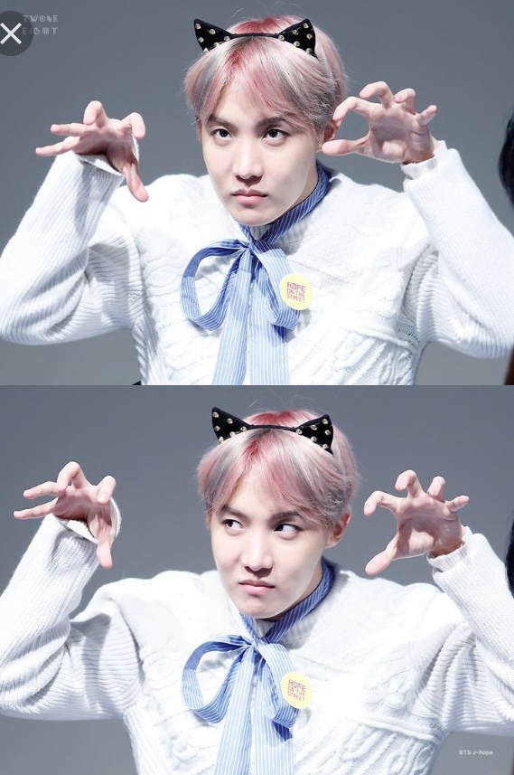 Jung Hoseok Oppa is my bias, but why does everyone call