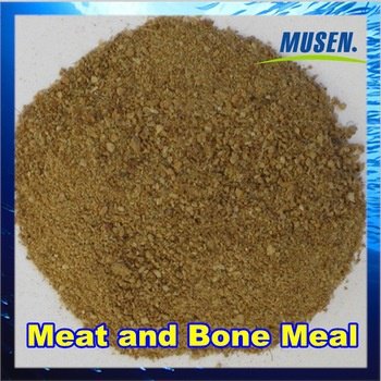 Apa yang terjadi pada ambing sapi perah pada saat penyembelihan? - Quora