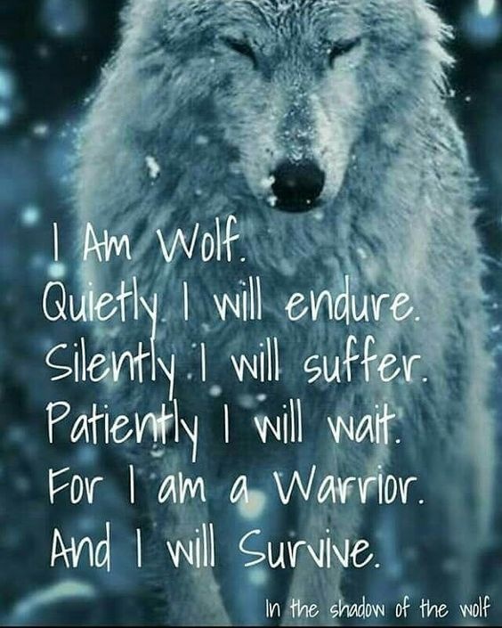 What are some quotes and poems about wolves? Quora