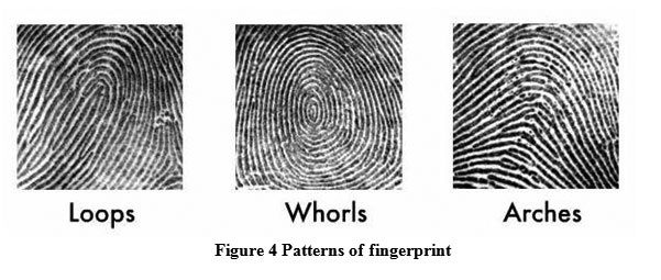 What are the most common ridge patterns in fingerprints? Quora