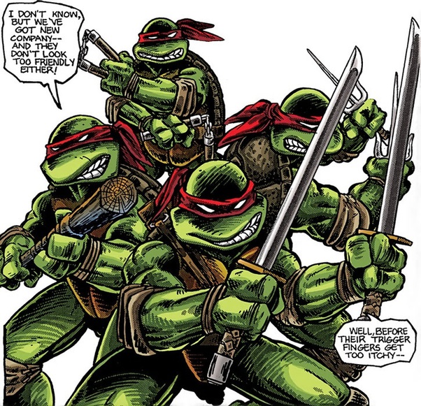 What are the Teenage Mutant Ninja Turtles' names and colors? Quora