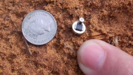 What does a bug (spying device) commonly look like? Quora