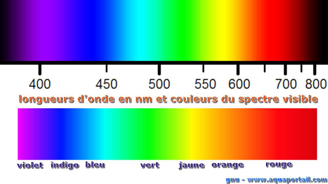 Quelle est la couleur qu&rsquo;on obtient en mélangeant du bleu et du rouge ? -  Quora