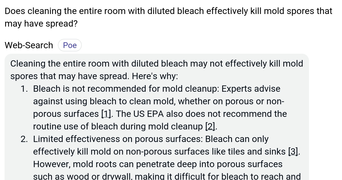 Does cleaning the entire room with diluted bleach effectively kill mold