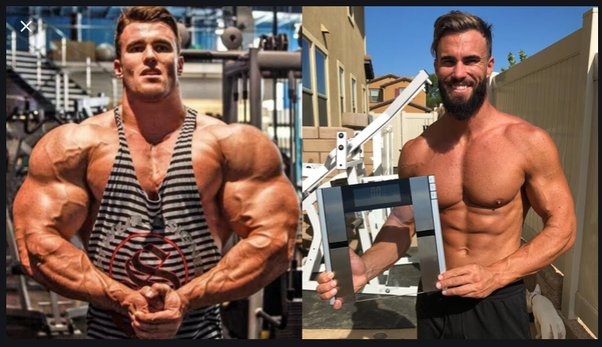 What is Calum von Moger's steroids cycle? Quora