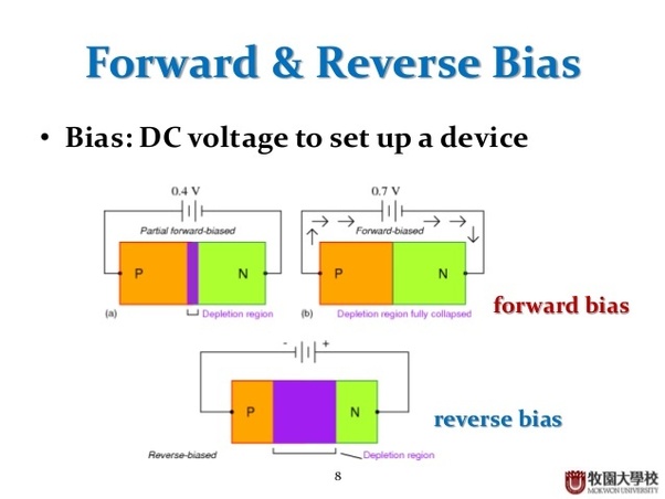What is the effect of increasing the reverse voltage on the depletion