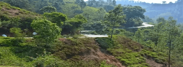 What are the best places to visit in ooty? Quora