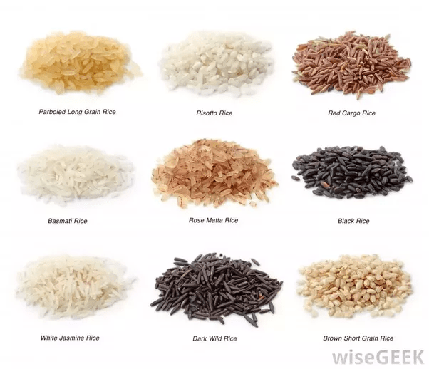 Why are Arabic rice so different from Thai rice? What