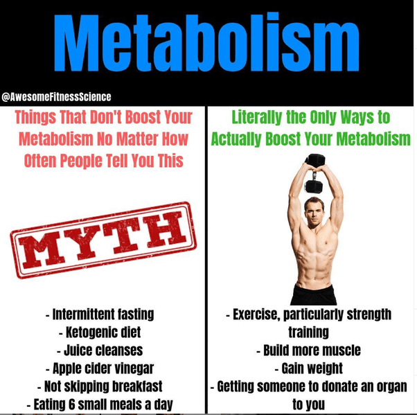 How can one increase his resting metabolic rate? Quora