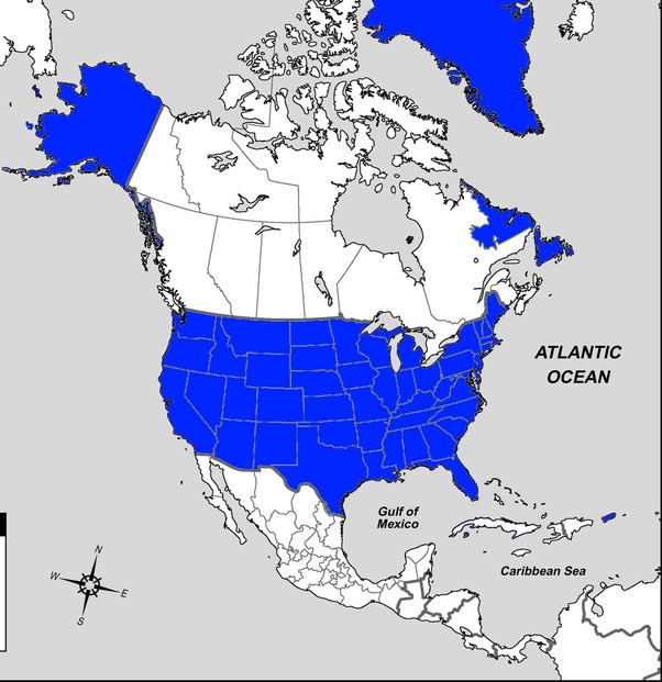Could Newfoundland have remained a British colony past 1949 and still