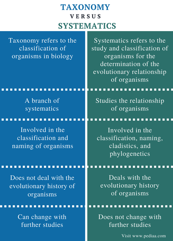 What is the difference between systematic and taxonomy? Quora