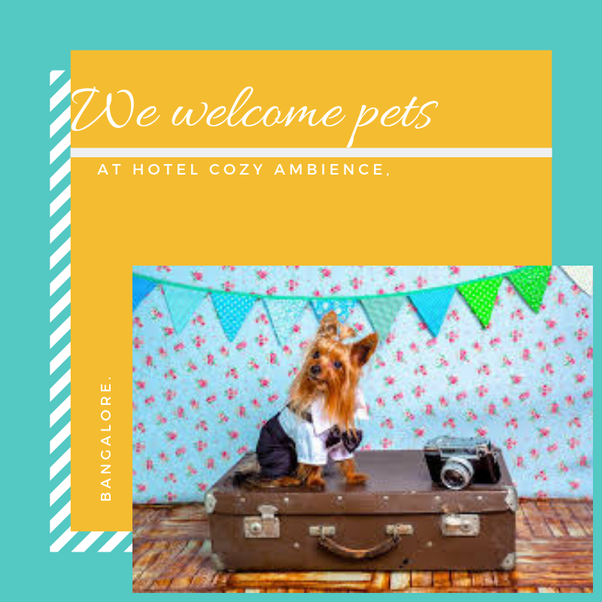 Are hotels pet friendly? Quora
