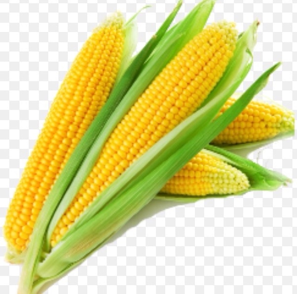 What do we call 'bhutta' in English? Quora