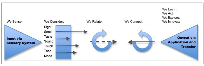 Bagaimana cara manusia belajar? - Quora