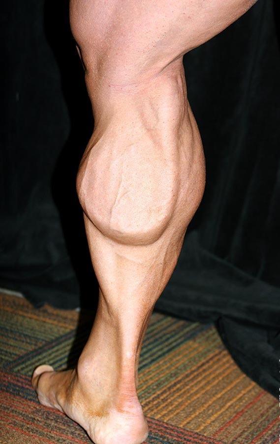Why are calf muscles difficult to grow bigger? Quora
