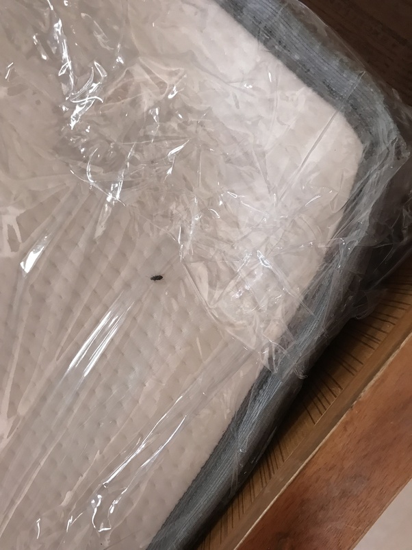 Can I consider Wakefit mattress or is it just an online sham? Quora