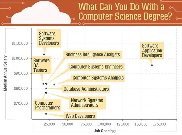What are the different job fields for a computer science student after