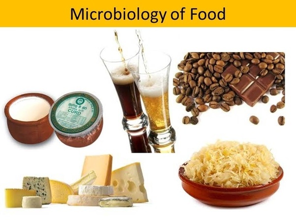 What are 10 ways in which are useful? Quora