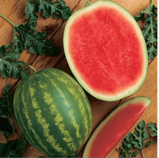 Why does seeded watermelon cost more than seedless? Quora