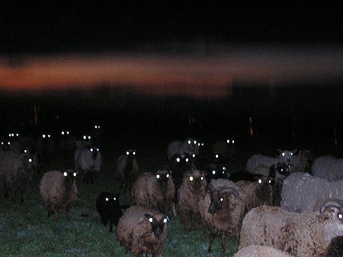 What does it mean when you see flaming red eyes with no face in the