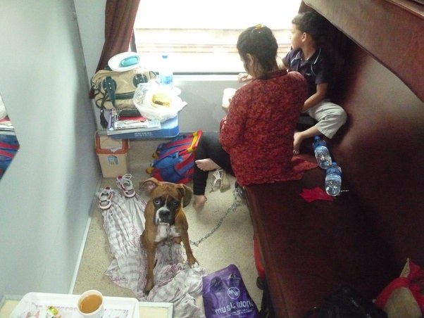 Can I travel with a puppy in Indian Railways? Quora