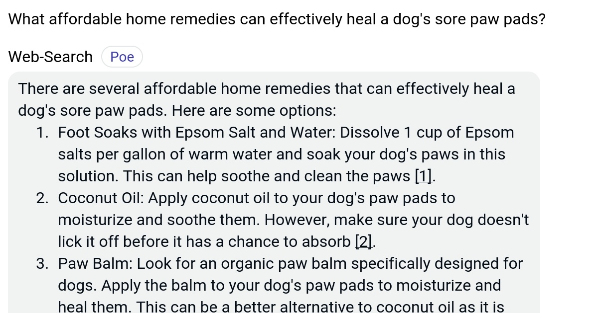 What affordable home remedies can effectively heal a dog's sore paw