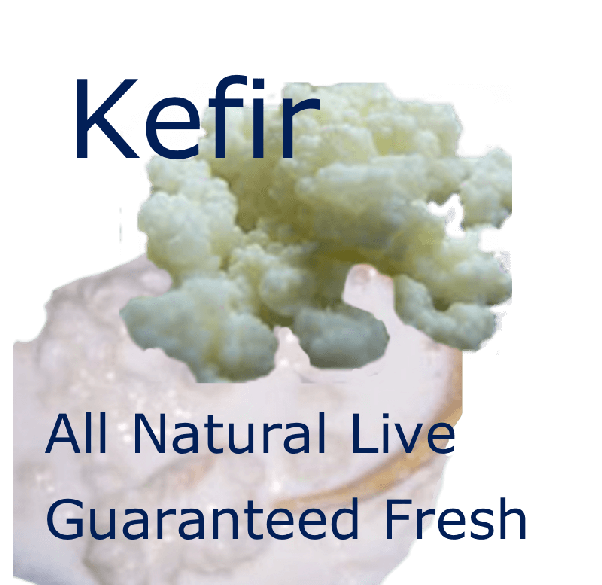 Is kefir good for health and why? Quora