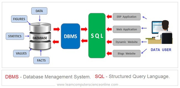 What is the difference between DBMS and SQL? Quora