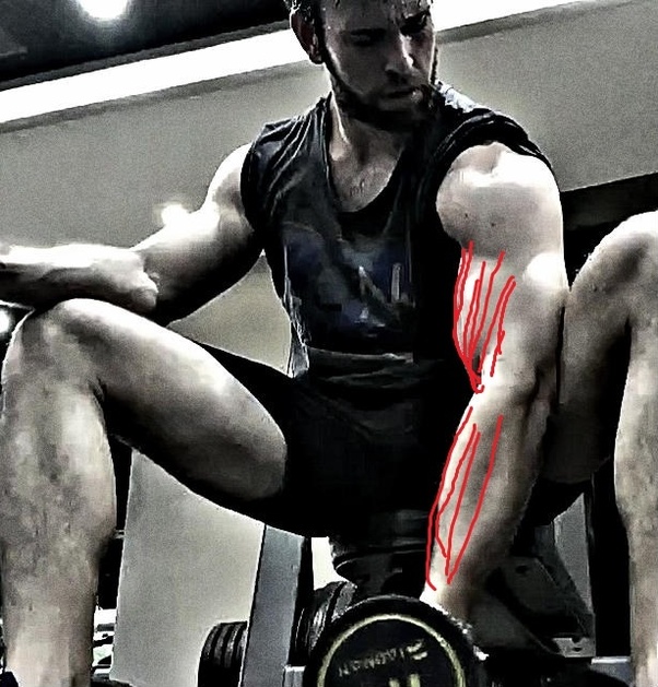 How many days does one need to rest a muscle group after a workout? Quora