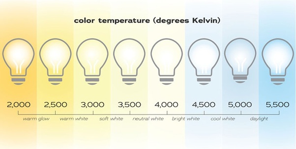 What's the difference between 'daylight' LED light bulbs and 'bright