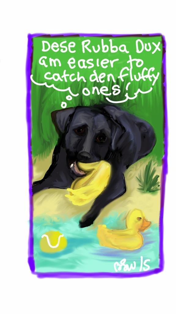 What is the difference between AKC and CKC registered dogs