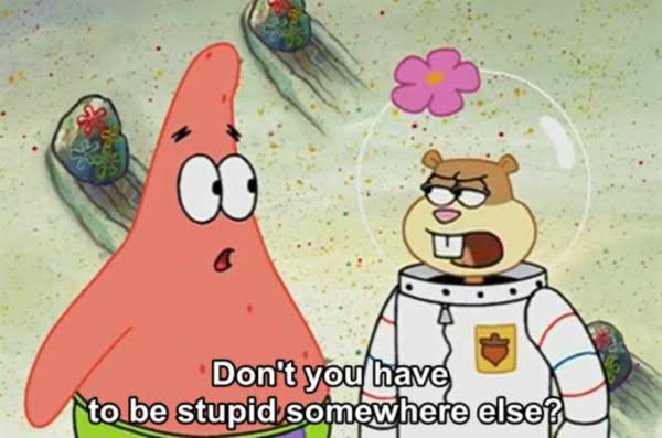 Apa arti ungkapan bahasa Inggris &lsquo;don&rsquo;t you have to be stupid somewhere  else!&rsquo;? - Quora