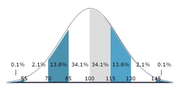 What would be considered a high IQ for an 11 year old? Quora