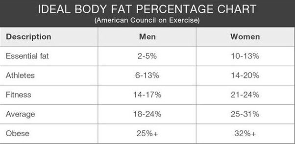 What could be the best diet for a guy in a fat loss program who is 183