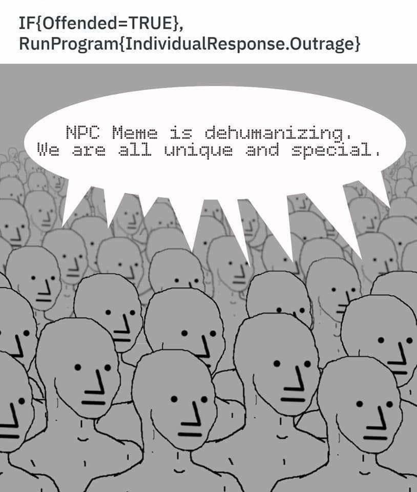 18 Of The Best Npc Memes Gallery