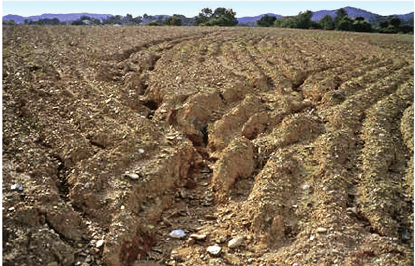 What are the negative impacts of deforestation to human