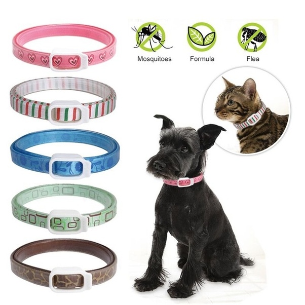 Do flea collars work? Quora