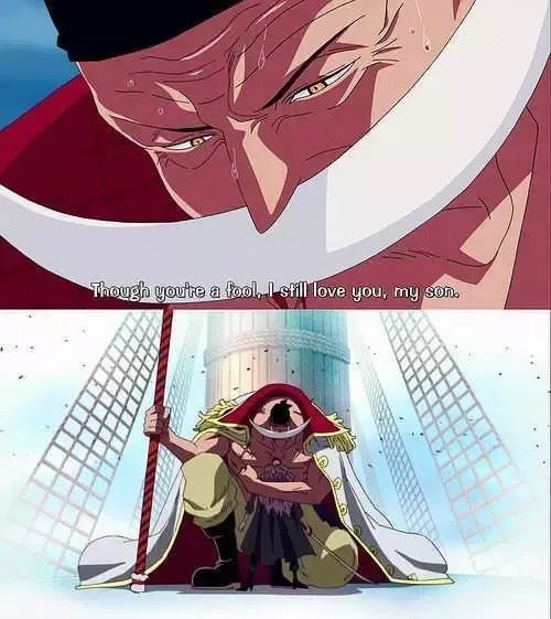 Who Is The Most Respected Pirate In One Piece? - Quora