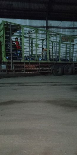 Bagaimana Anda menjelaskan seberapa kerennya profesi Anda kepada anak-anak  TK? - Quora