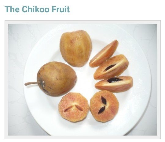 What is chikoo called in English? Quora