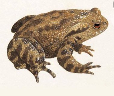 Apa kejadian lucu yang paling kamu ingat? - Quora