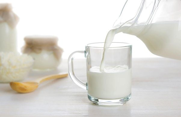 How effective is whole milk to gain weight? Quora