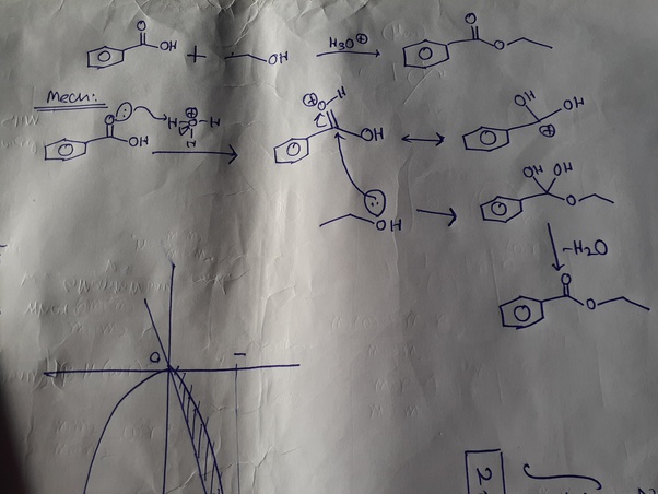 What happen when ethanol reacts with benzoic acid? Quora